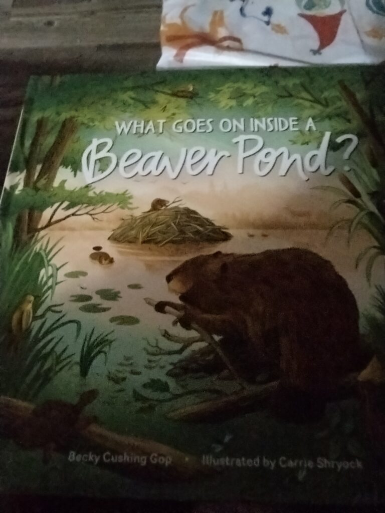  What Goes On Inside A Beaver Pond by Becky Cushing Gop (Author), Carrie Shryock (Illustrator) 