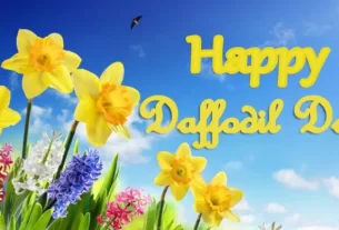 August 22 Daffodil Day #DaffodilDay