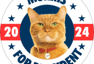 Sweepstakes: A cat for President?! Morris is running – & needs a running mate! 