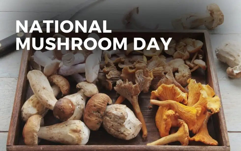 October 15 National Mushroom Day #MushroomDay