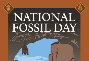 October 16 ​National Fossil Day #FossilDay